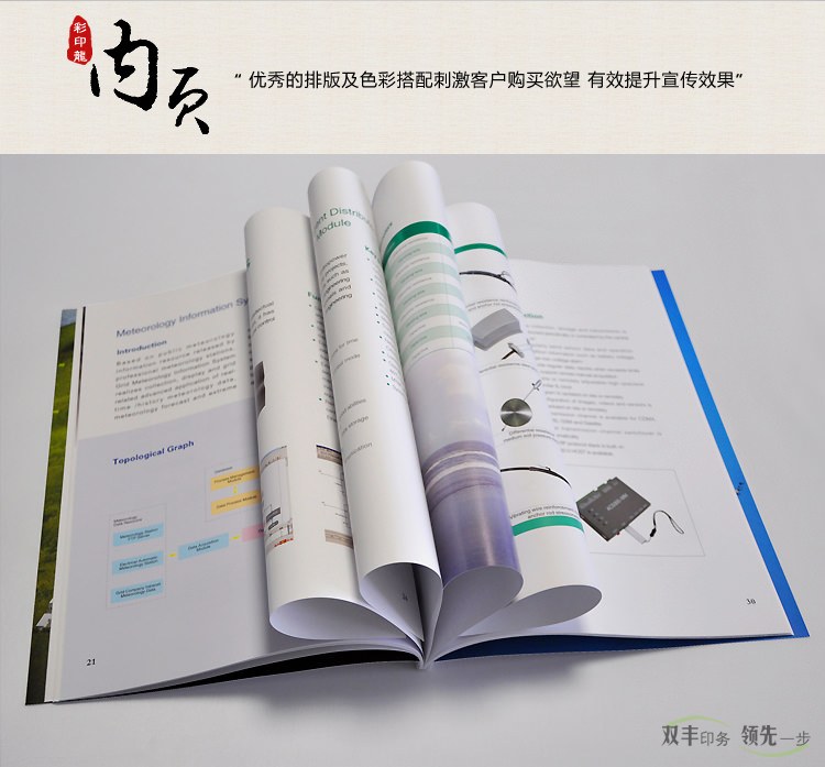 內(nèi)頁(yè)：優(yōu)秀的排版及色彩搭配刺激客戶購(gòu)買欲望，有效提升宣傳效果